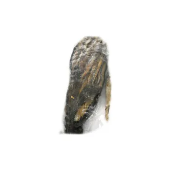 Fresh Frozen Dry fish